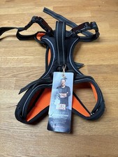 MARTIN RÜTTER - HUNDEGESCHIRR