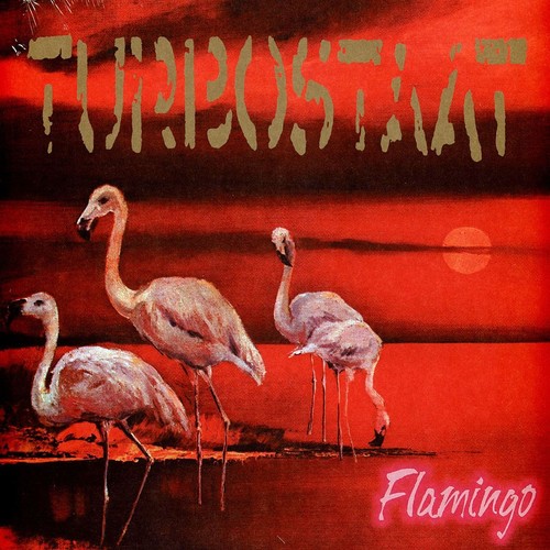Turbostaat flamingo vinyl - turbostaat,