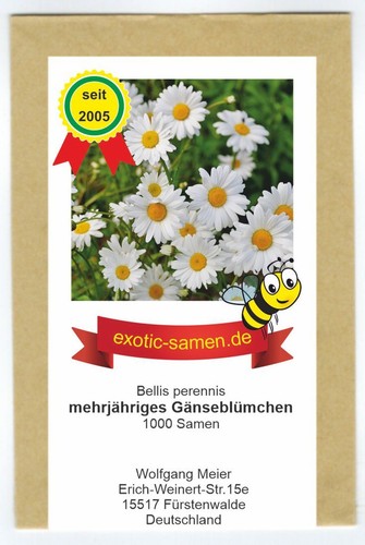 Ausdauerndes gänseblümchen - ausdauerndes,