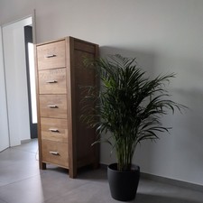 Hochschrank - Serie Royal Oak (Jysk / Dänisches Bettenlager)