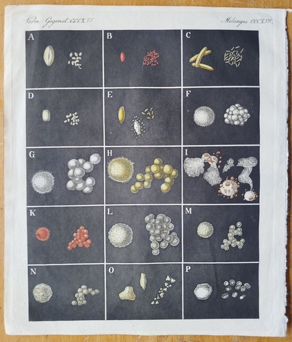 Blütenstaub pollen bertuch - #,