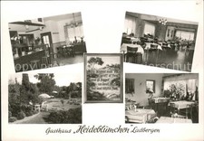 Ladbergen Heideblümchen