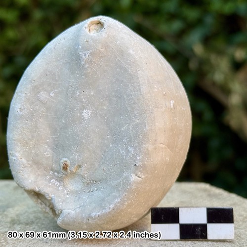 Britische kreide ware - a-ware, fossil