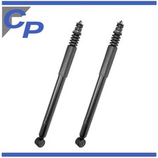 2 Stossdämpfer hinten für