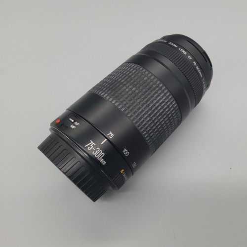 Canon 300 5 6 - ef, ii