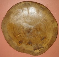 Baumscheibe, Holzscheibe
