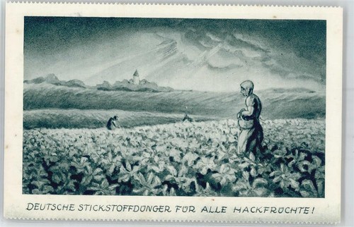 51104897 kalk stickstoff - -,