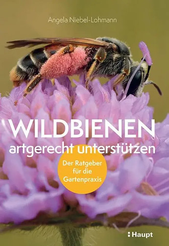Wildbienen artgerecht