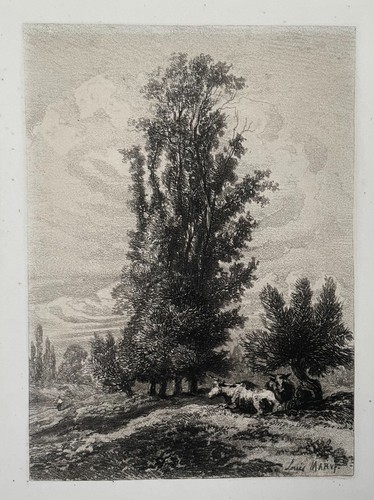 Kühe einer landschaft - kühe, in