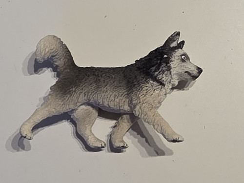 Schleich husky 16835 von 2014 - #16835,