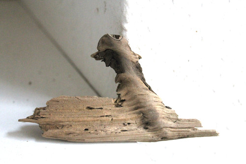 Schwemmholz treibholz skulptur - schwemmholz,