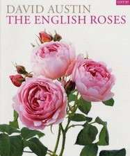 The English Roses (Conran