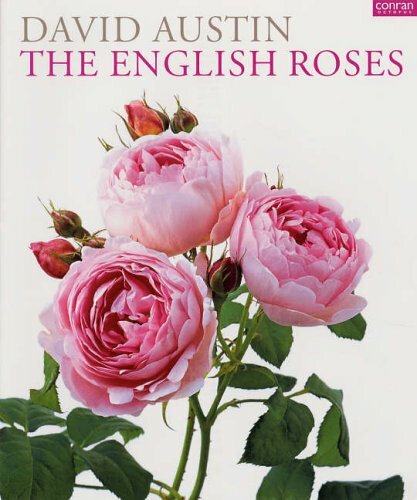 The english roses - english, (conran