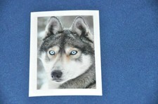 REWE ABENTEUER TIERWELT