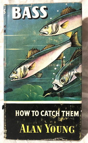 Bass how catch - bass,