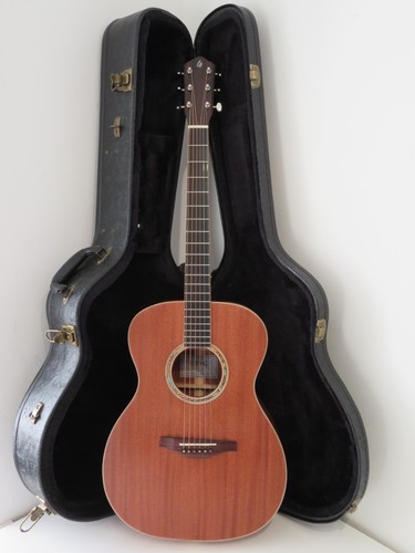 2022 lsy guitars - den, all