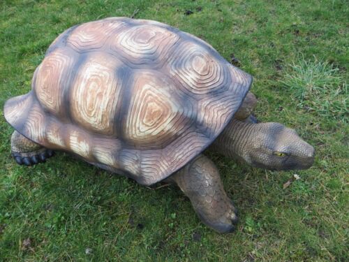 Schildkröte xxl lebensgroß - schildkröte,