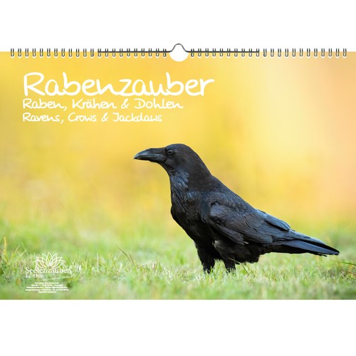 Rabenzauber raben krähen - rabenzauber, raben,