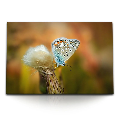 120x80cm wandbild auf - wandbild,