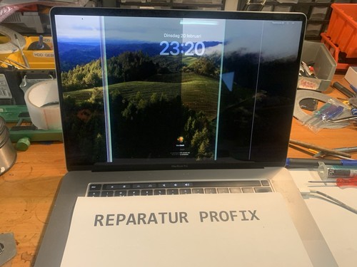 Reparatur macbook dustgate - macbook,