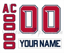 Adler Mannheim Customized