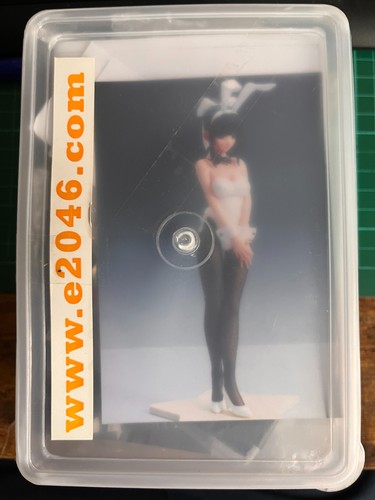 E2046 takane manaka bunny - takane,