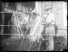 14. A LA FERME LE BOUCHER