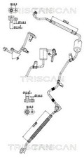 TRISCAN