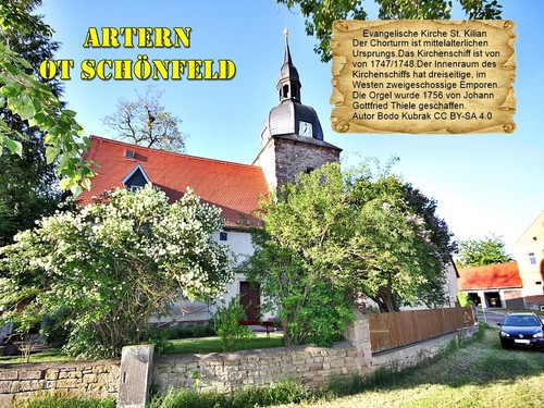 Artern schönfeld - ot,