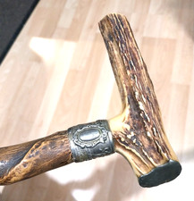 Wunderschöner seltener