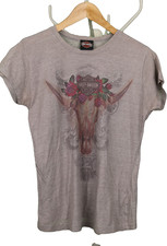 Harley Davidson Beartooth