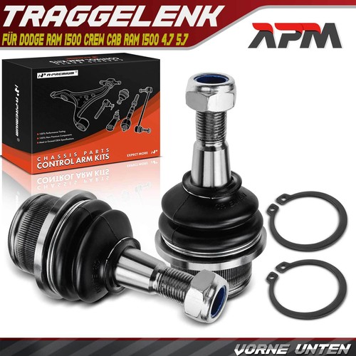 Traggelenk vorne unten - 2x,