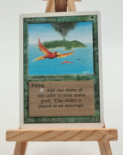Birds paradise revised 3 - of,