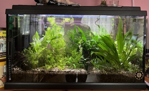 Aquarium 120 liter - 120, mit