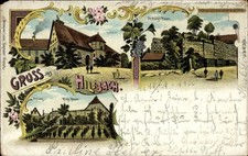 Litho Hilsbach Sinsheim in