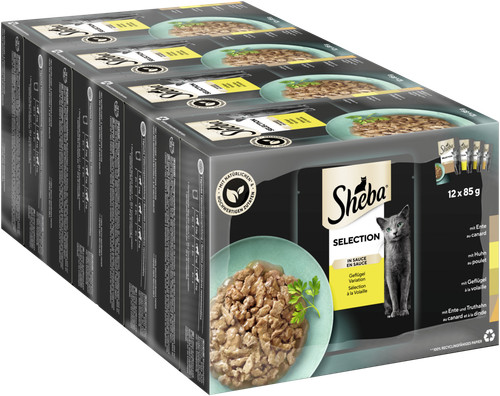 85g sheba selection in - 48,