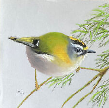 Vogel Goldhähnchen Original Pastell Malerei, Vogel Gemälde, 20 x 20 cm