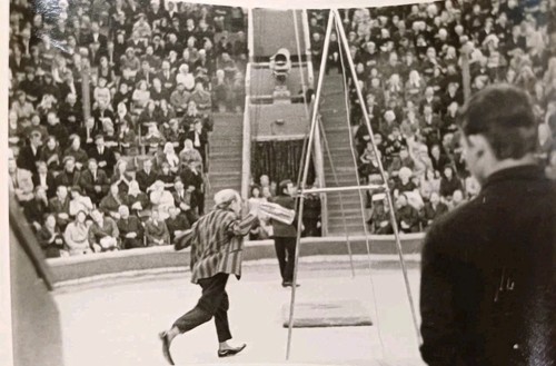 Zirkus gastspiel leipzig - zirkus,