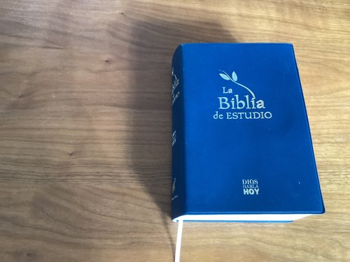 Die studienbibel gott - studienbibel, spricht