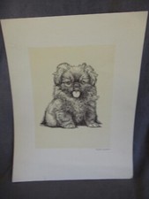 Signed Lithograph Drawing