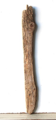 Treibholz schwemmholz - treibholz,