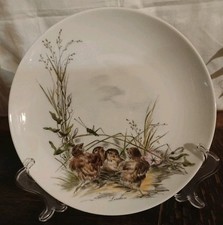 AK Kaiser Porzellan Wandteller - Vogelkinder - Motiv Lerchen - 70er Jahre