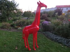 Baby Giraffe XXL lebensgross