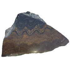 0,49Kg Stromatolith Rohstein