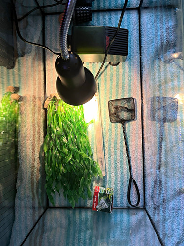 Aquarium komplett set 54l - komplett-set,