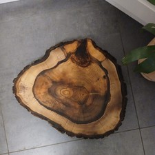 kernfaule gestockte  Nussbaum