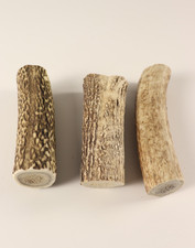 Hirschhornstück Horn