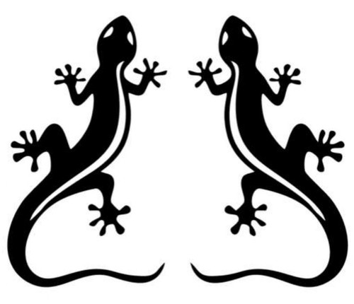 Gecko autoaufkleber - ,