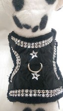 Hundegeschirr - , xs