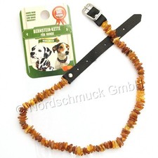 Bernsteinkette hund bernstein - hund,
